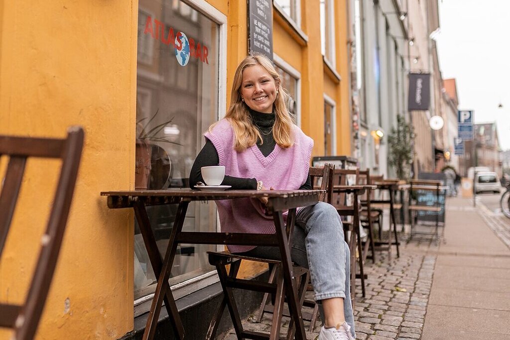 DIS Blog, Allaire's advice