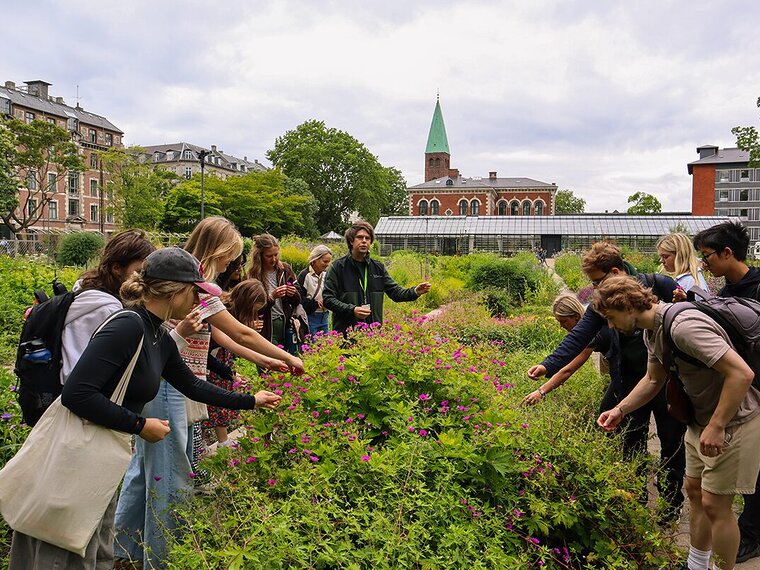 DIS Blog, learning differently