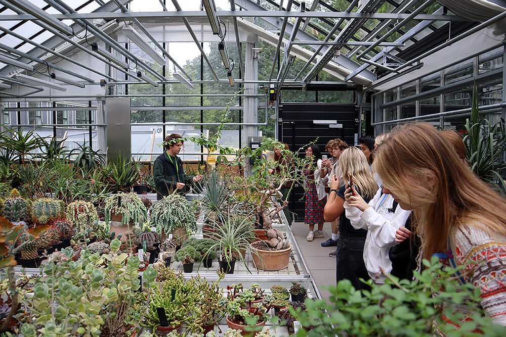 DIS Blog, learning differently