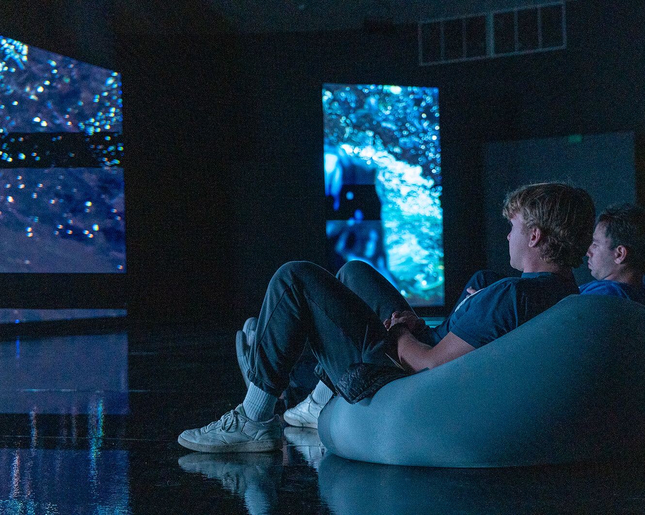 dis_Cognitive Neuroscience of Addiction Cognitive Neuroscience of Addiction