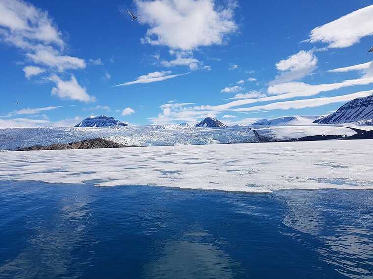 Polar Biology in Svalbard