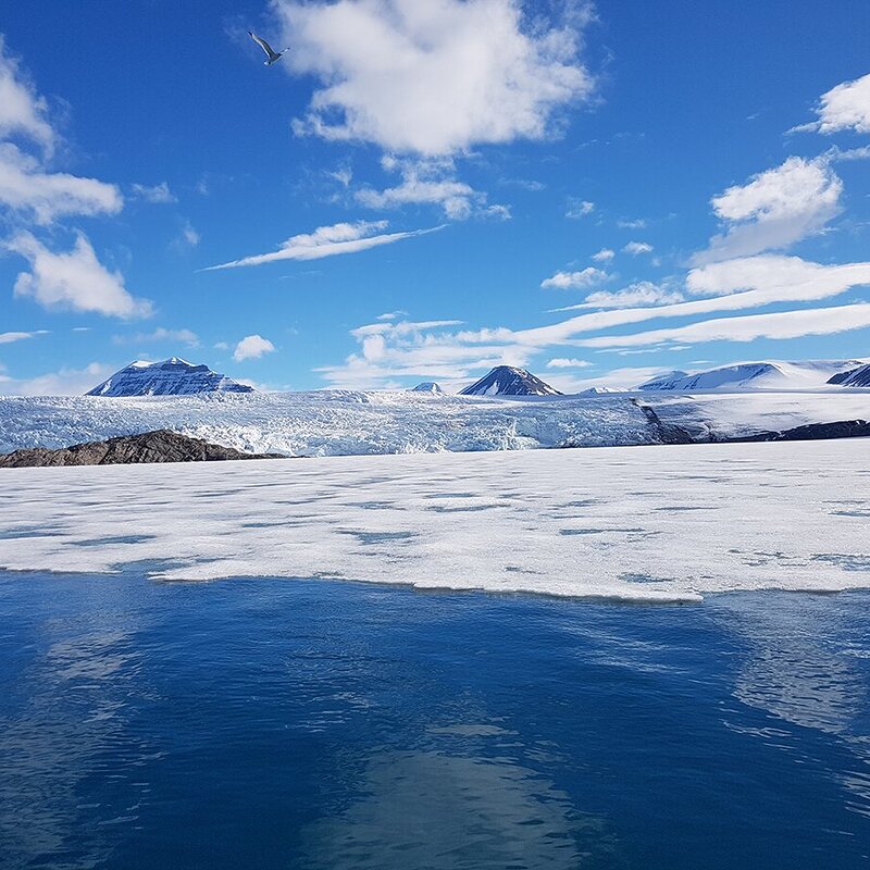 Polar Biology in Svalbard
