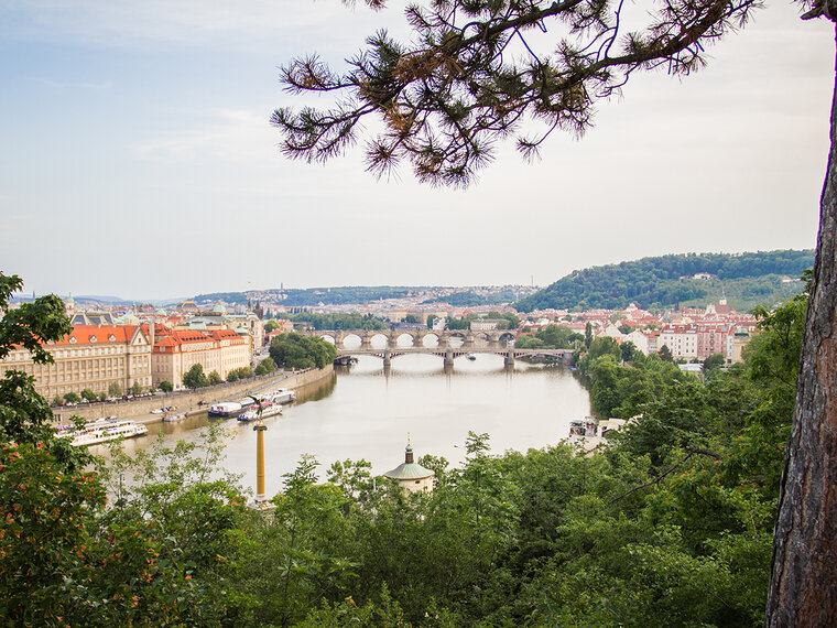 dis_study tour_prague czech republic Prague