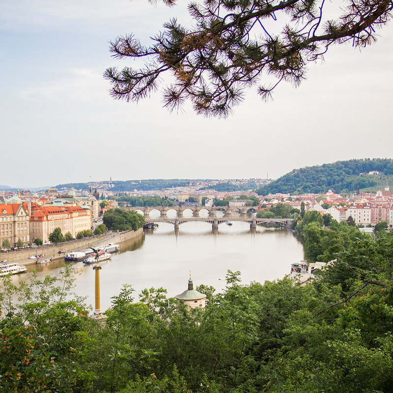 dis_study tour_prague czech republic Prague