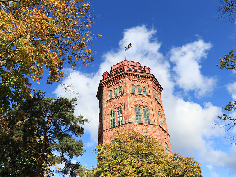 dis_study tour_sweden_2 Sweden