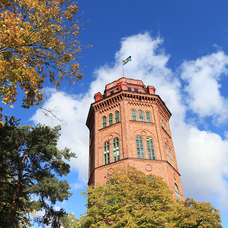 dis_study tour_sweden_2 Sweden