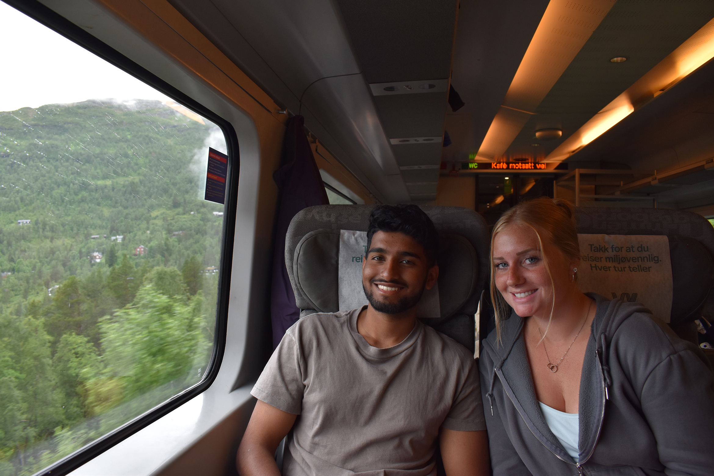 Summer overview, train