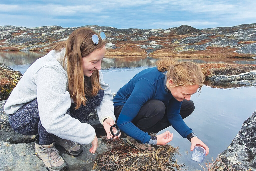lab research practicum session