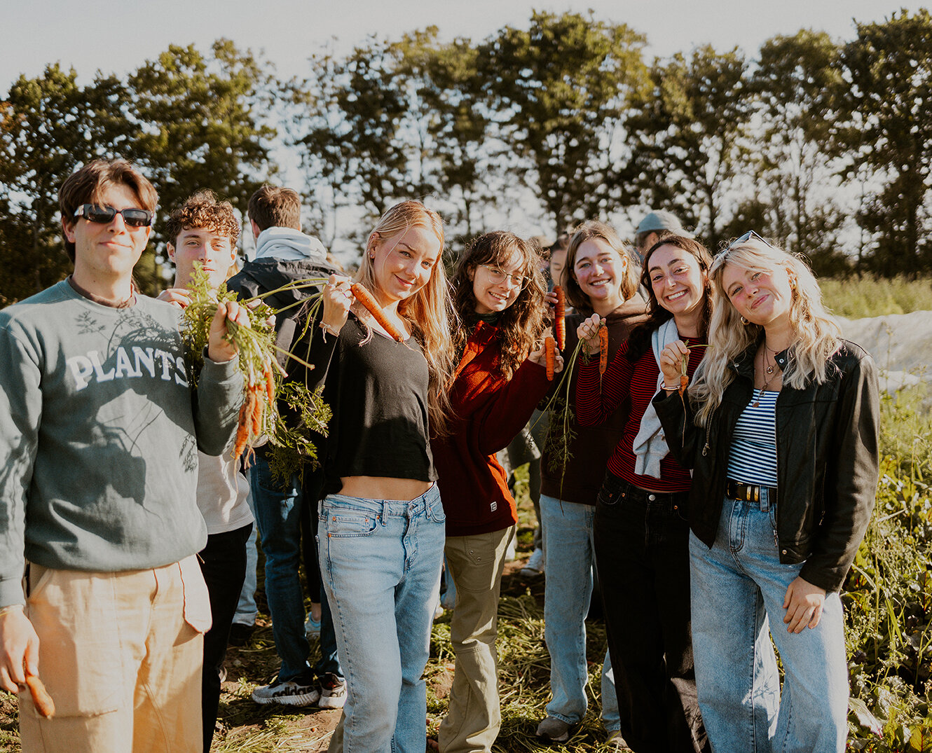 Sustainable Food: Production and Consumption