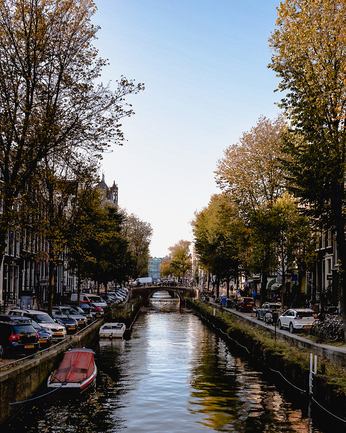 What is a study tour