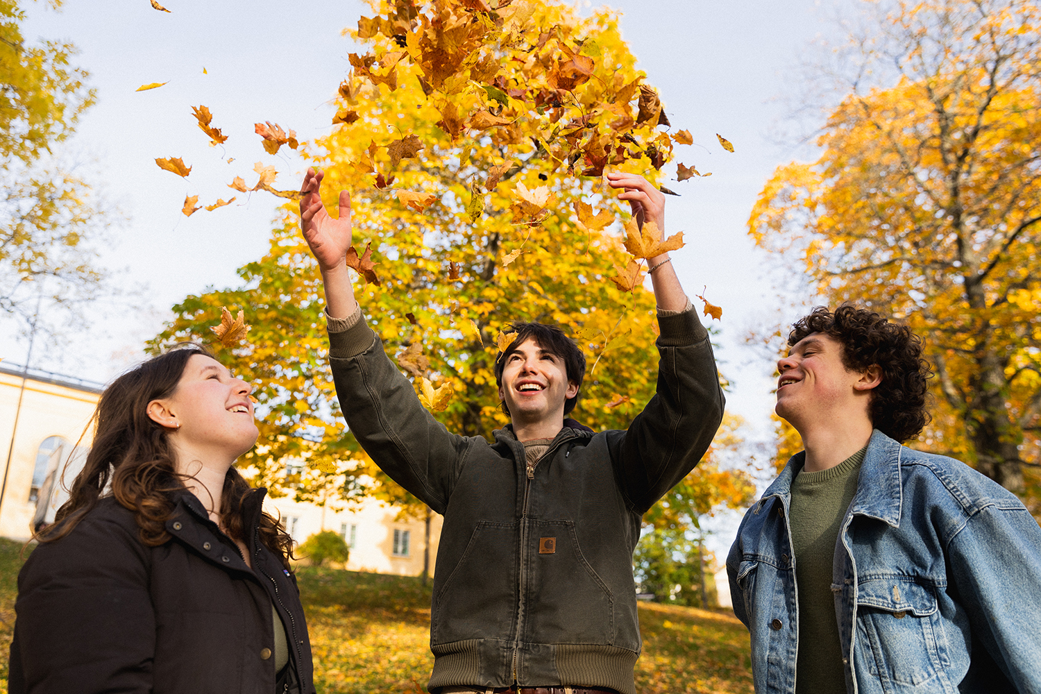 Joey’s return to Scandinavia