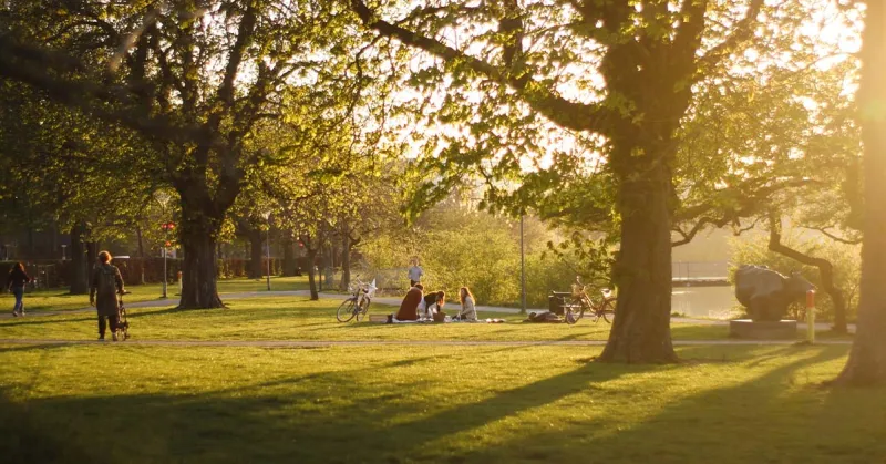 Five tips for wellbeing and managing stress