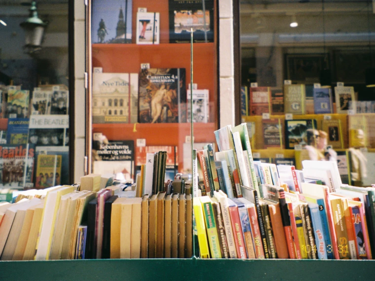 dis_AEducation Policy in Scandinavia