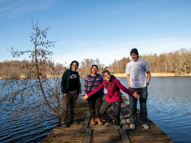 dis_datavisualization