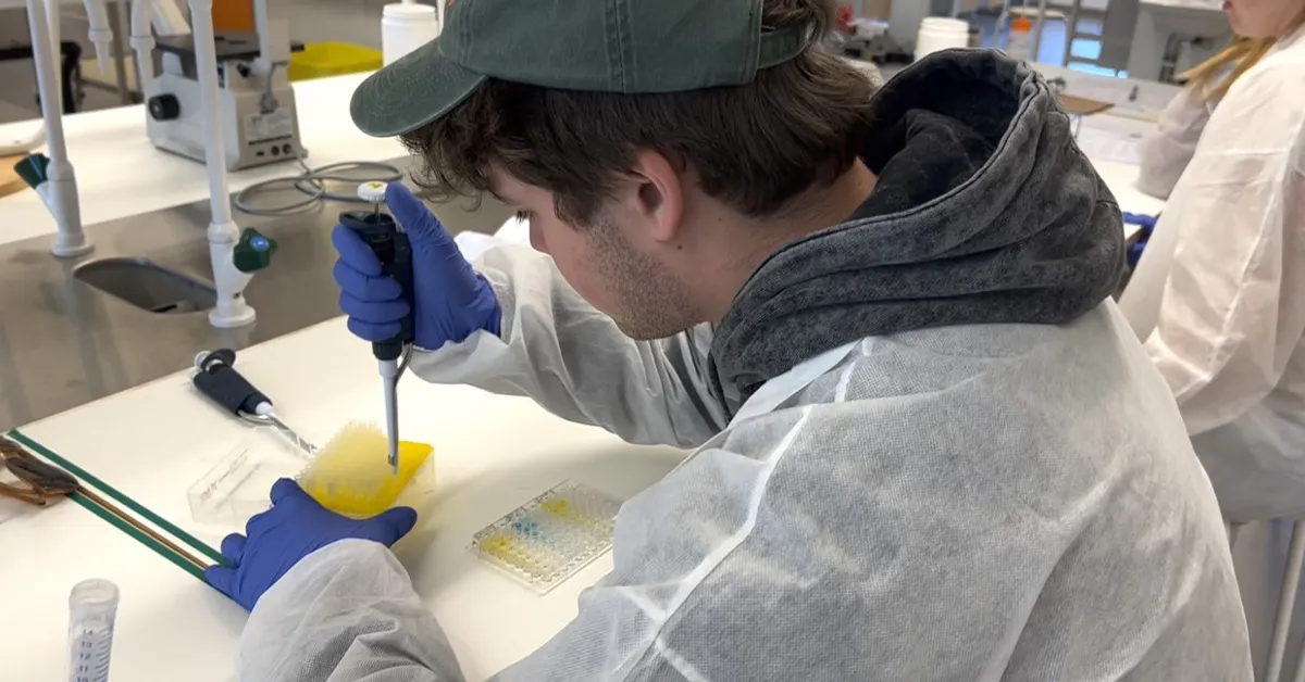 Summer research in Stockholm: Kyle’s view