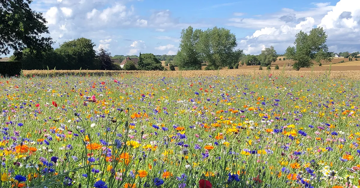 Essential and accessible places to visit in Denmark